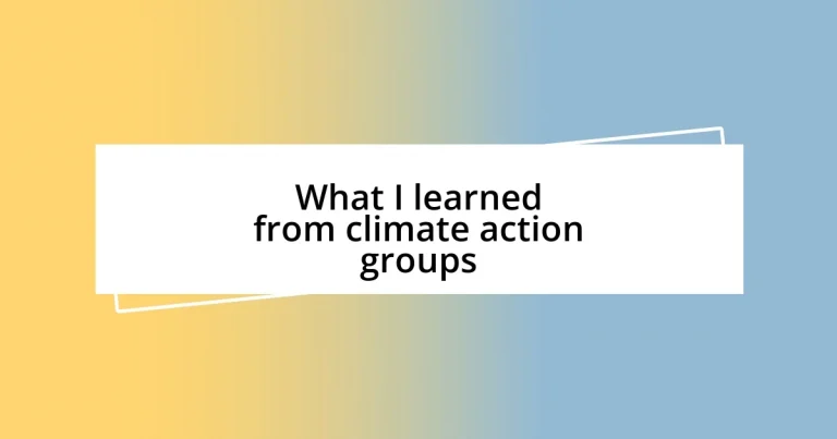 What I learned from climate action groups