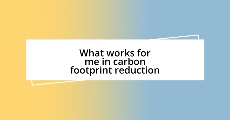 What works for me in carbon footprint reduction