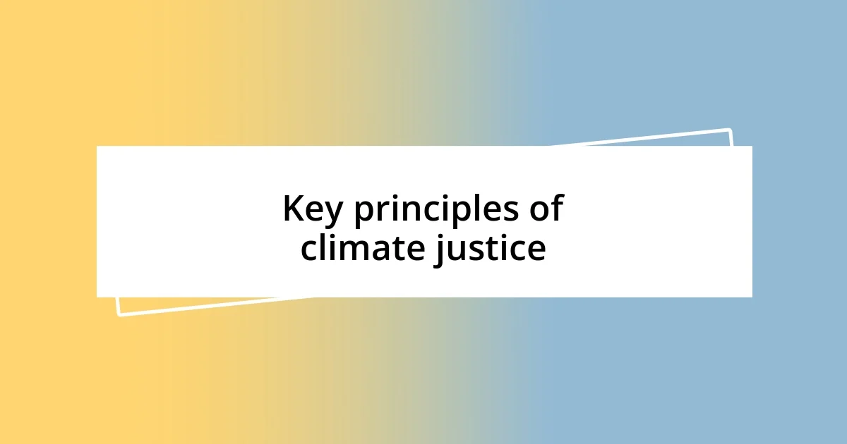 Key principles of climate justice