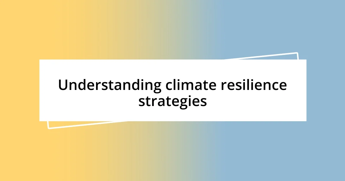 Understanding climate resilience strategies