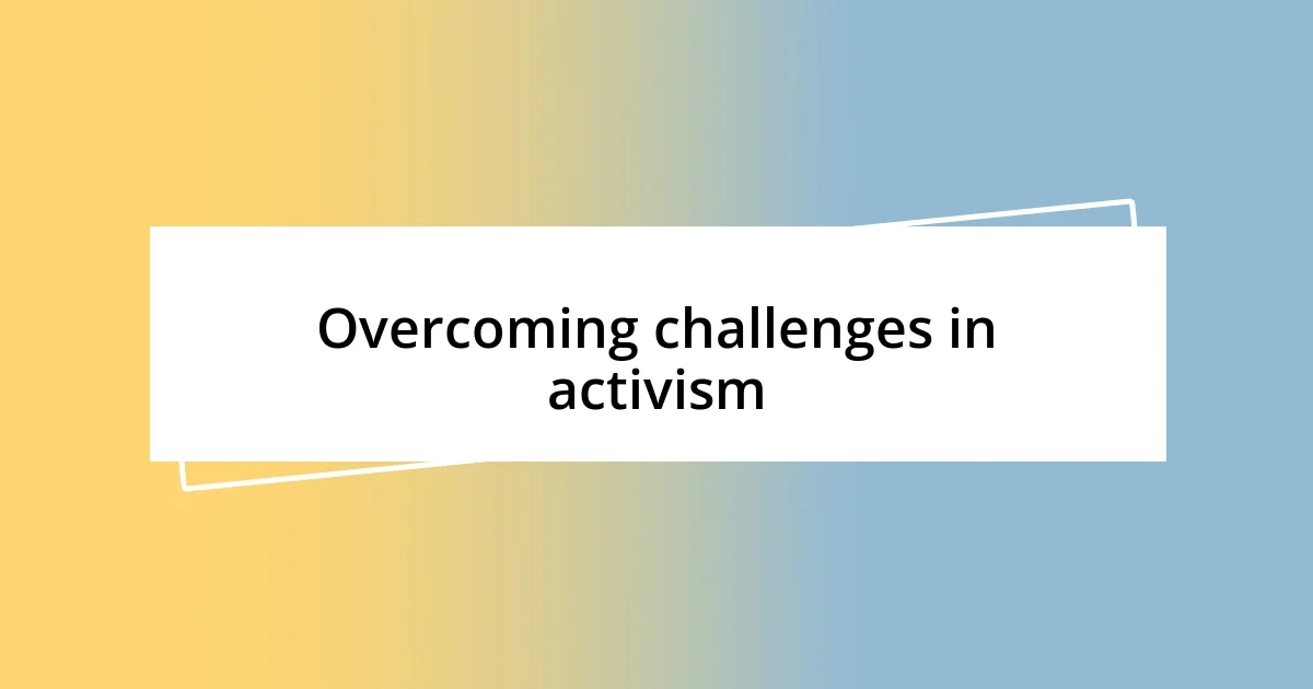 Overcoming challenges in activism